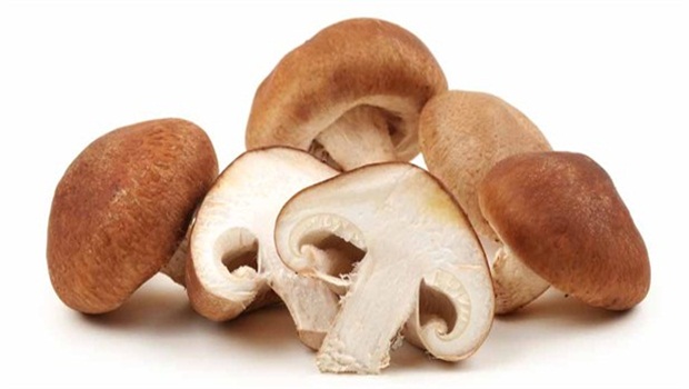 Shiitake-Mushroom.jpg